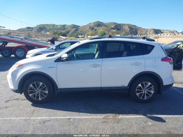 Toyota RAV4 Xle Image 2